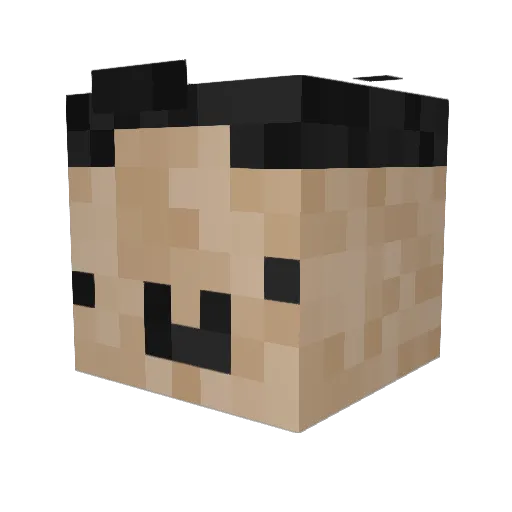 Skeuskeuleu Minecraft avatar head, 3D render