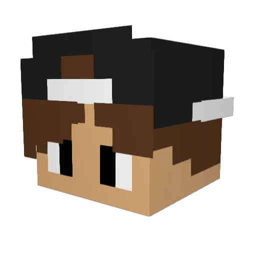 Skewshall Minecraft avatar head, 3D render