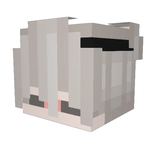 Skeylor Minecraft avatar head, 3D render