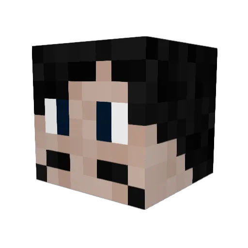 Ski4Life871 Minecraft avatar head, 3D render