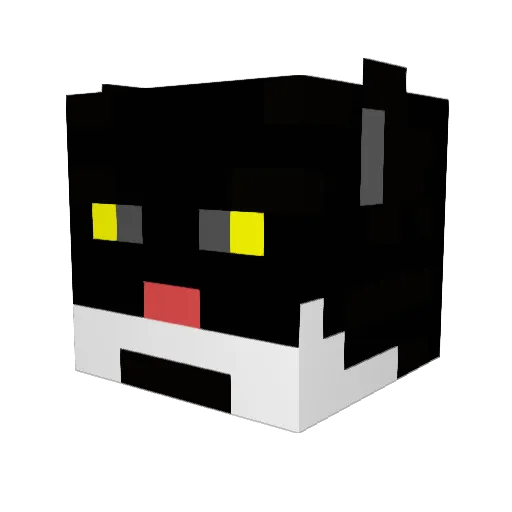 SkiCat3 Minecraft avatar head, 3D render