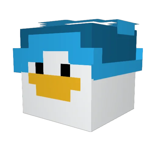 SkiHatDuckie Minecraft avatar head, 3D render