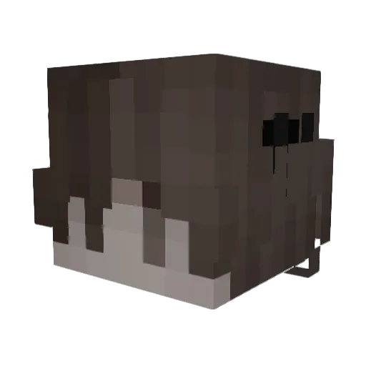 SkiWYD Minecraft avatar head, 3D render