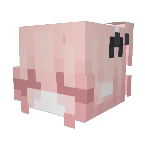 Skiashi Minecraft avatar head, 3D render