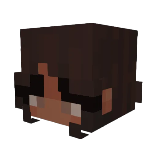 SkibidiMaster69 Minecraft avatar head, 3D render