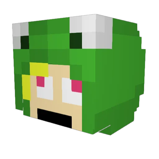 Skibidi_Kermit Minecraft avatar head, 3D render