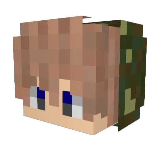 Skibol71 Minecraft avatar head, 3D render
