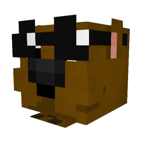 SkidSnipe127462 Minecraft avatar head, 3D render