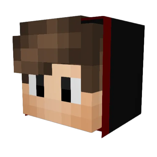 Skidboy1 Minecraft avatar head, 3D render