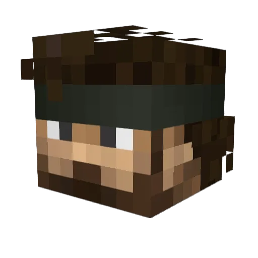 Skiddlenator Minecraft avatar head, 3D render