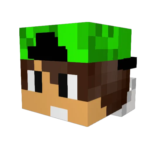 Skiddles2003 Minecraft avatar head, 3D render