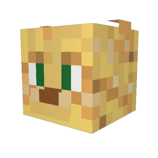 Skiddy45 Minecraft avatar head, 3D render