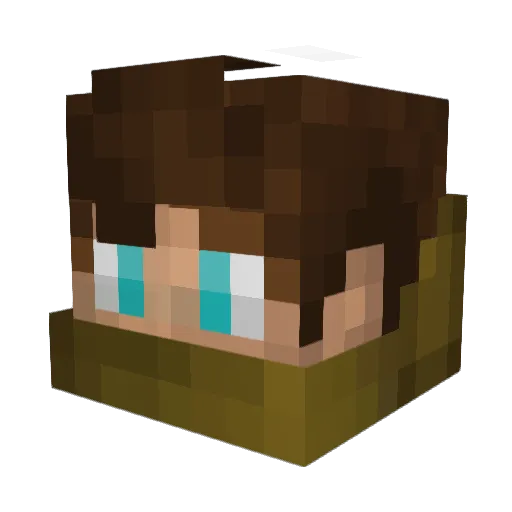 Skidnut Minecraft avatar head, 3D render
