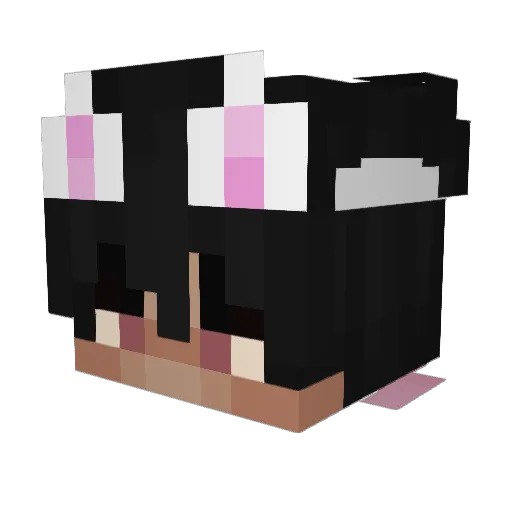 Skidunion Minecraft avatar head, 3D render