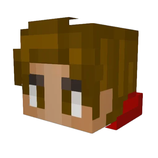 Skies223 Minecraft avatar head, 3D render