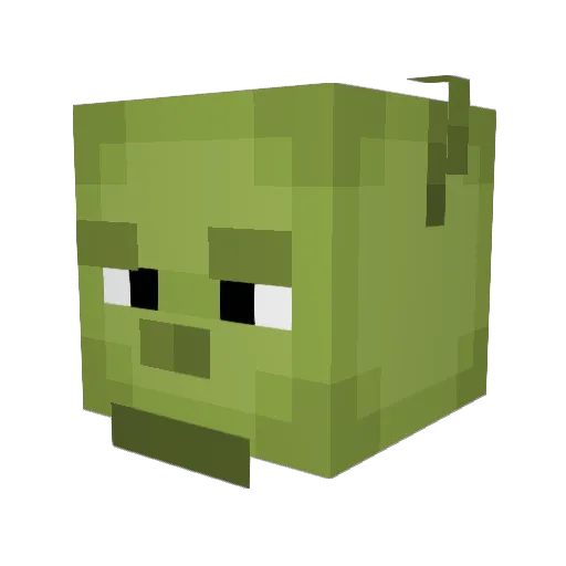 Skii555555555 Minecraft avatar head, 3D render