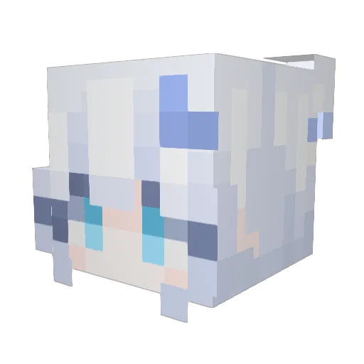 Skiier0kd Minecraft avatar head, 3D render