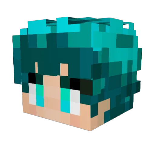 Skiillzzz Minecraft avatar head, 3D render