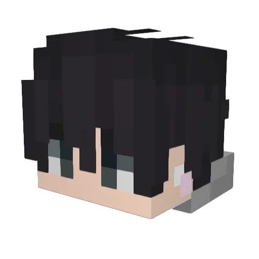 Skiing13 Minecraft avatar head, 3D render