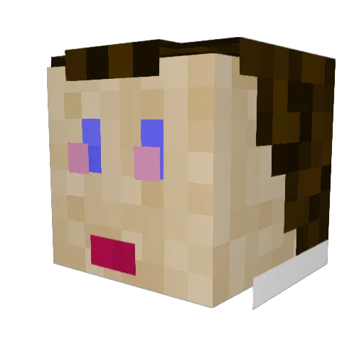 Skikidi Minecraft avatar head, 3D render