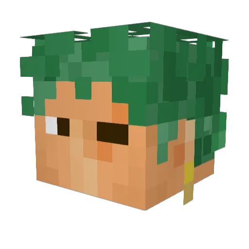 SkillFlipz Minecraft avatar head, 3D render