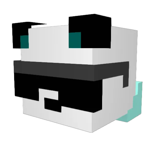 SkillGamer001 Minecraft avatar head, 3D render