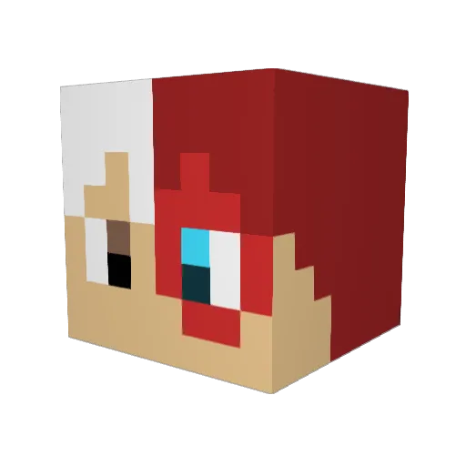 SkillGamer0205 Minecraft avatar head, 3D render