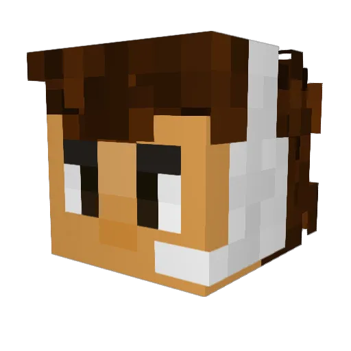 SkillPot Minecraft avatar head, 3D render