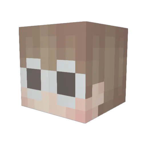 SkillSkillz2 Minecraft avatar head, 3D render