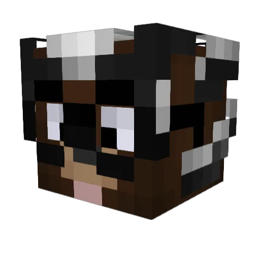 SkillToBedwars Minecraft avatar head, 3D render