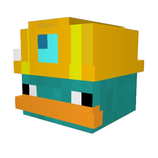Skiller1135 Minecraft avatar head, 3D render