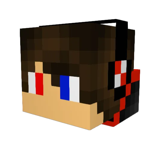 SkillerDani Minecraft avatar head, 3D render