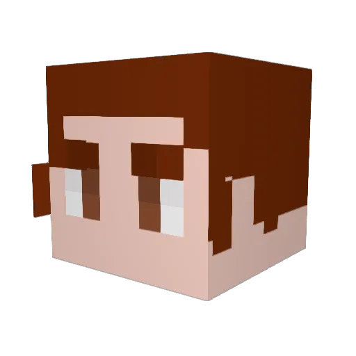Skillet614 Minecraft avatar head, 3D render