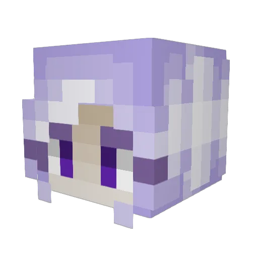SkillfullMonk Minecraft avatar head, 3D render