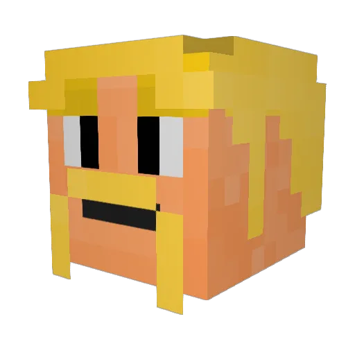 SkillfullyDumb Minecraft avatar head, 3D render