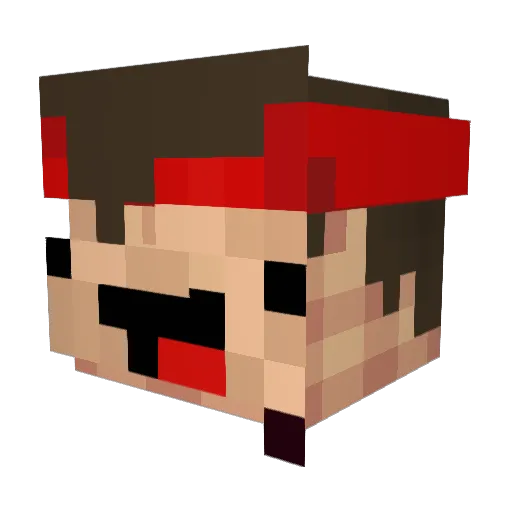 Skillskylli Minecraft avatar head, 3D render