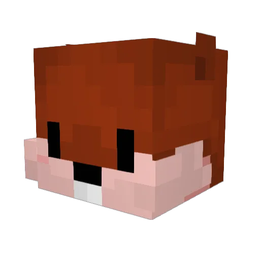 Skiloooo Minecraft avatar head, 3D render