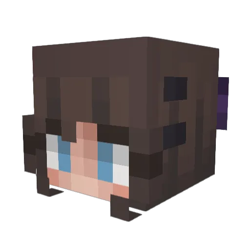 Skilpot Minecraft avatar head, 3D render