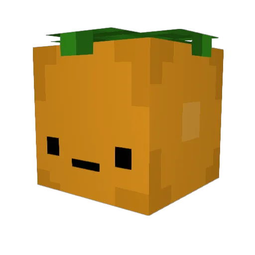 Skimboards Minecraft avatar head, 3D render