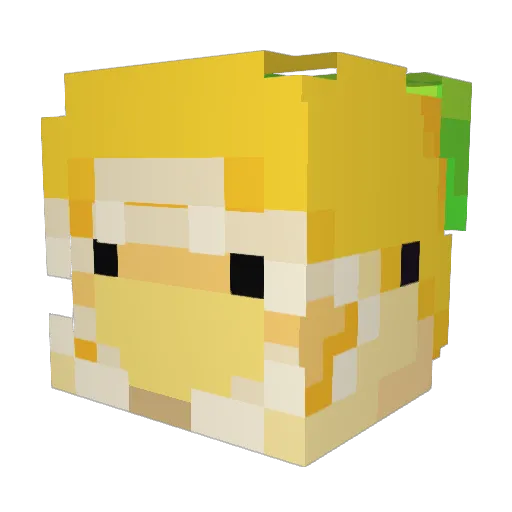 Skimmmmn Minecraft avatar head, 3D render