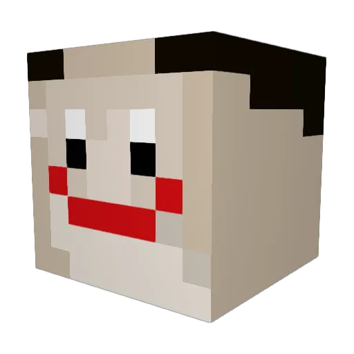 SkinSack Minecraft avatar head, 3D render