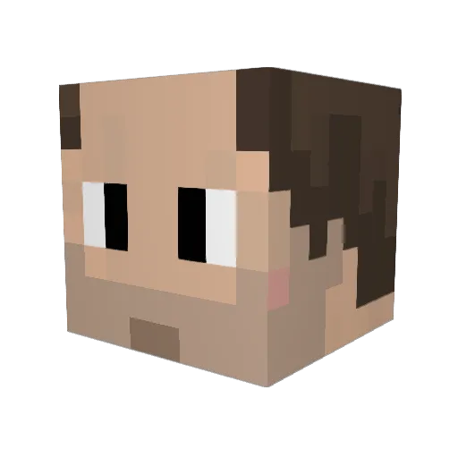 SkinZ05 Minecraft avatar head, 3D render