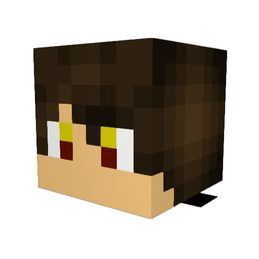Skingplays Minecraft avatar head, 3D render