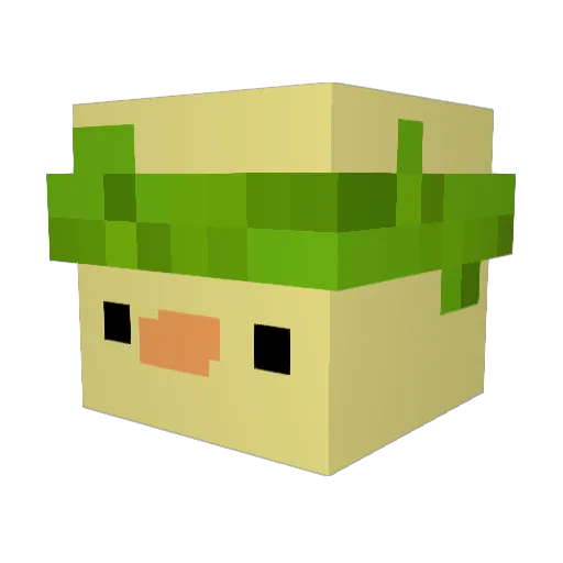 Skini22_TSG Minecraft avatar head, 3D render
