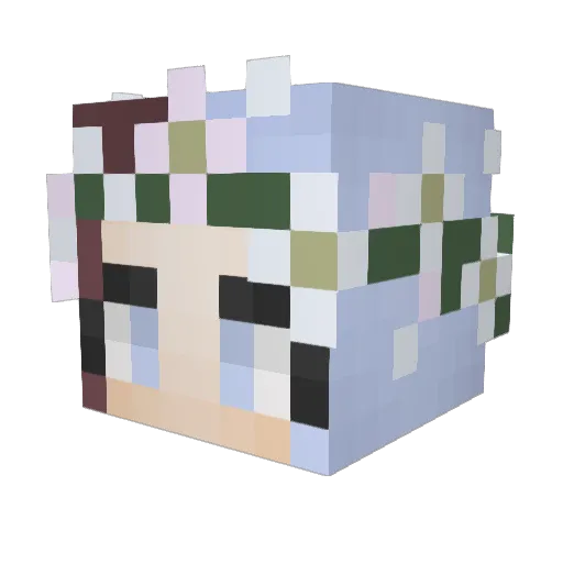Skinke Minecraft avatar head, 3D render