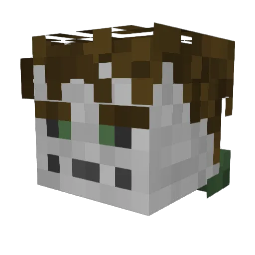 SkinlessPerson Minecraft avatar head, 3D render