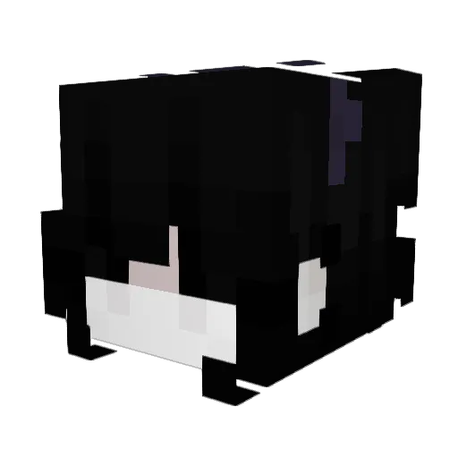 SkinnyGothGirl Minecraft avatar head, 3D render