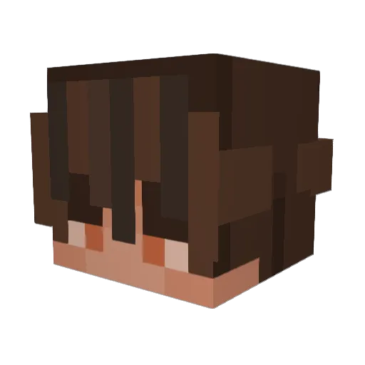 SkinnyManCoconut Minecraft avatar head, 3D render