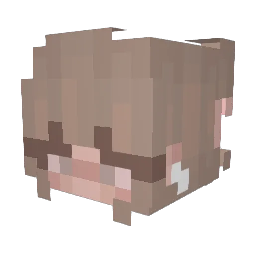 SkinnyNathan Minecraft avatar head, 3D render