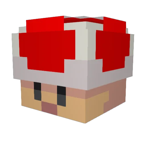 SkinnyNeck5005 Minecraft avatar head, 3D render